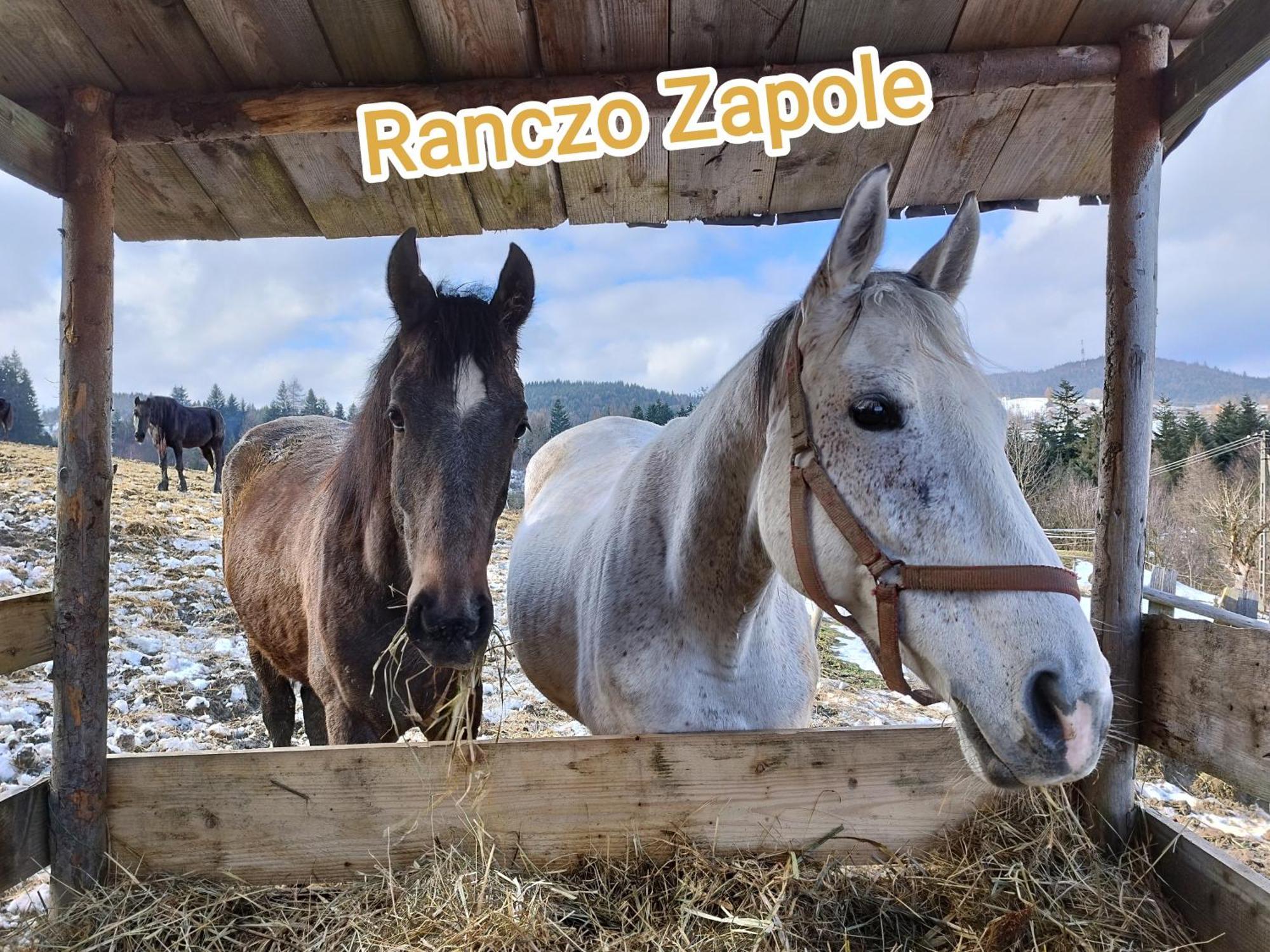 Rancho Zapole Vila Zasadne Exterior foto